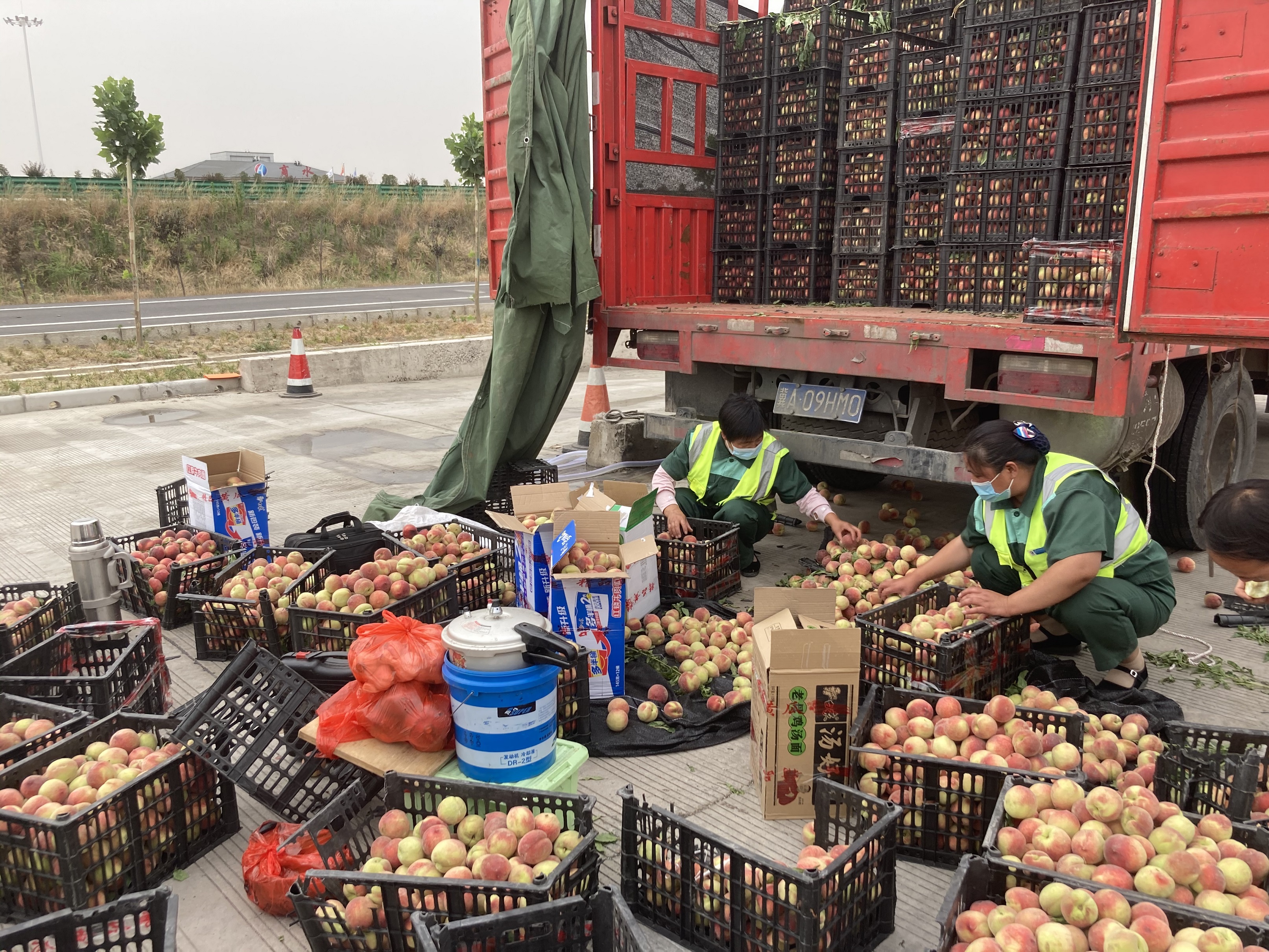 圖說：6月4日，一輛運輸水果的貨車在行駛到商水服務區下道口時，由于速度過快，車輛發生側翻事故，車上滿載的水果隨車輛拋灑一地。服務區及時救援，并組織員工不畏炎熱幫助車主撿拾水果。.jpg